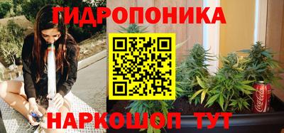 СК Пушкино