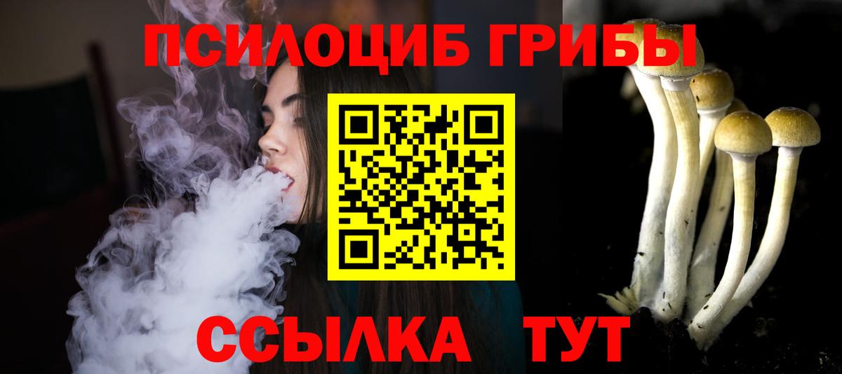 Галлюциногенные грибы прущие грибы  купить наркотики цена  Вход с VPN  Северск  Псилоцибиновые грибы мухоморы 